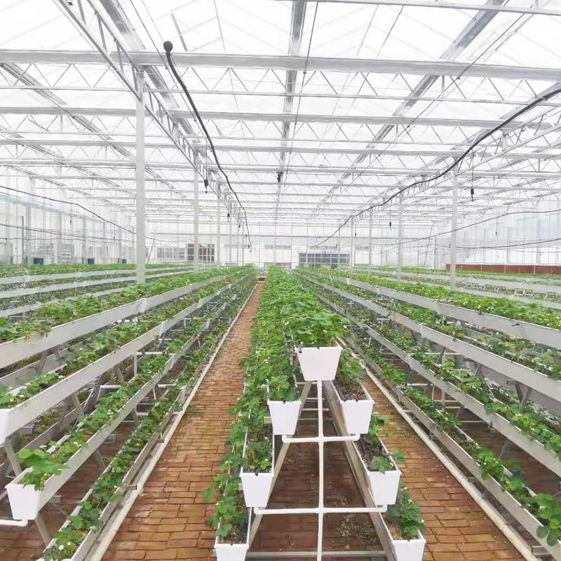 strawberry gutter.jpg