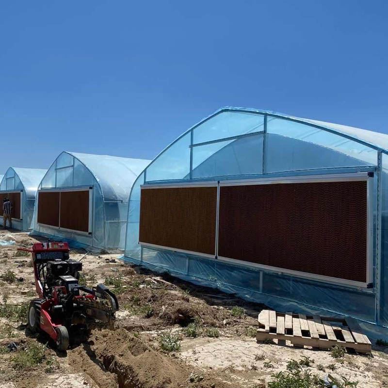 completed double layer greenhouse completed double layer greenhouse