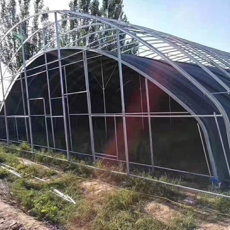 oval greenhouse oval greenhouse