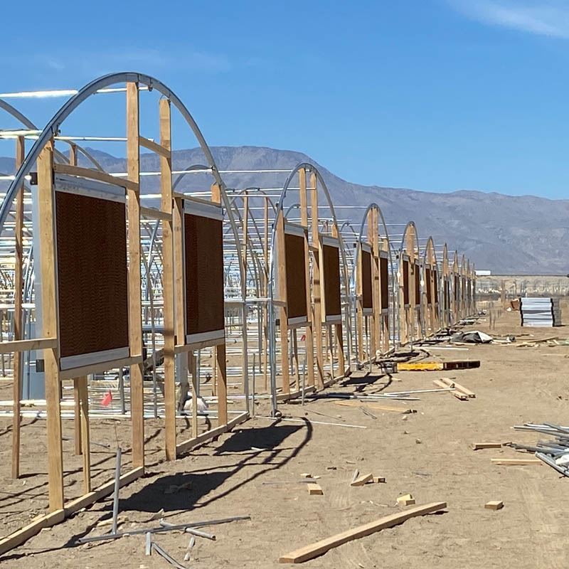 greenhouse cooling system greenhouse cooling system