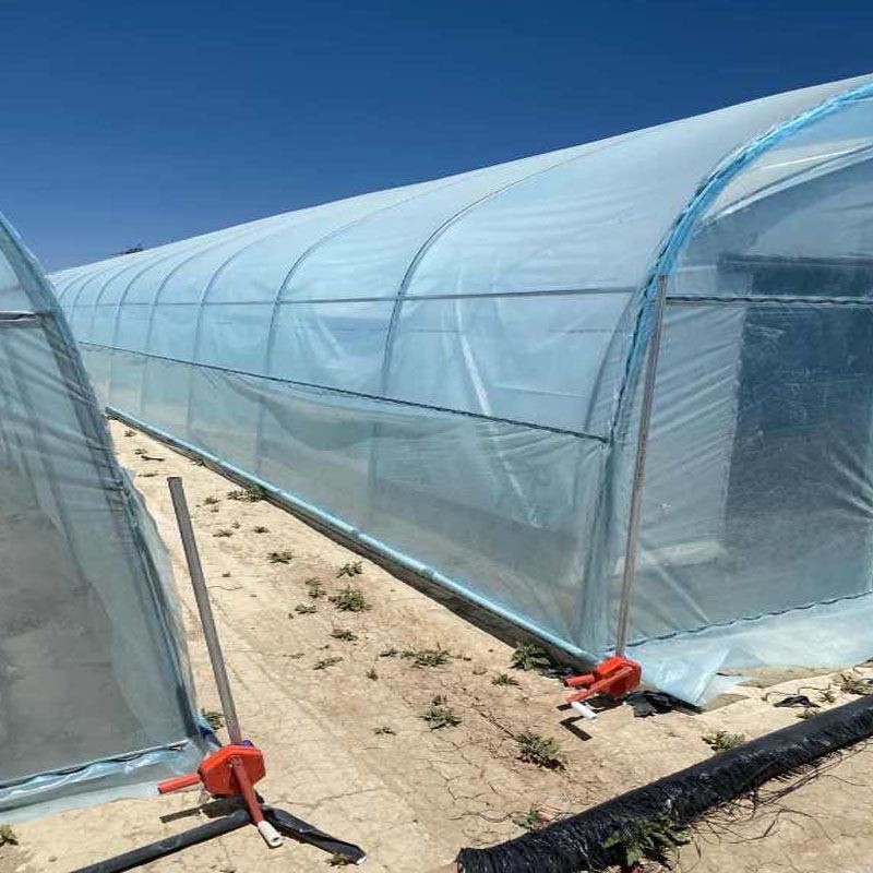 greenhouse ventilation greenhouse ventilation