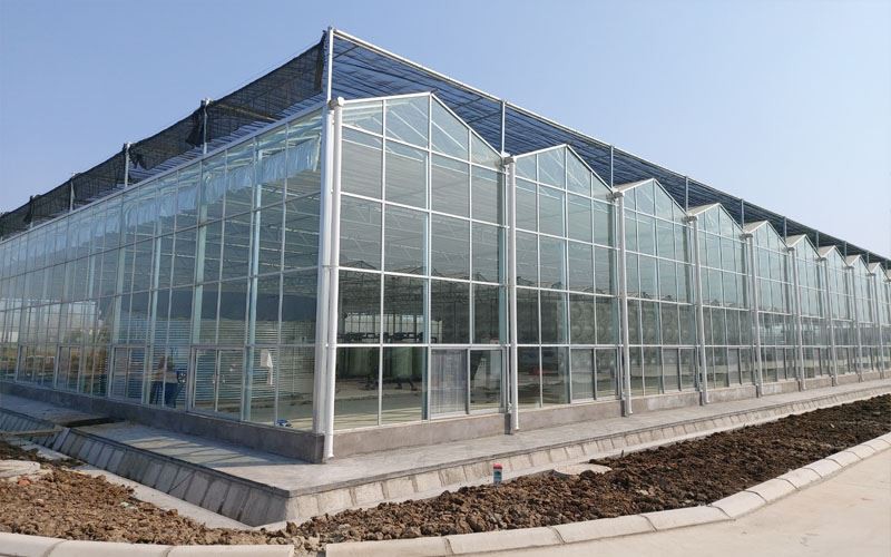 China greenhouse price