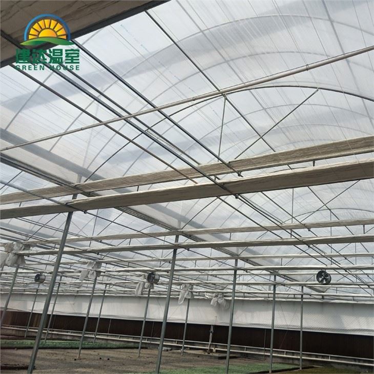 Aluminum Foil Shading Net