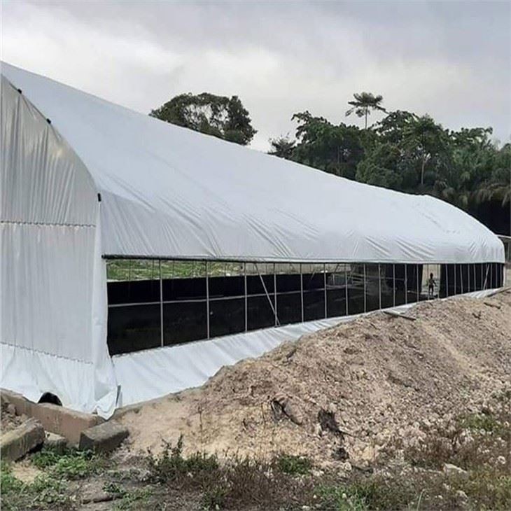 Blackout Greenhouse For Mushroom And Cannabis