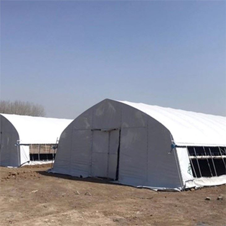 Blackout Greenhouse For Mushroom And Cannabis
