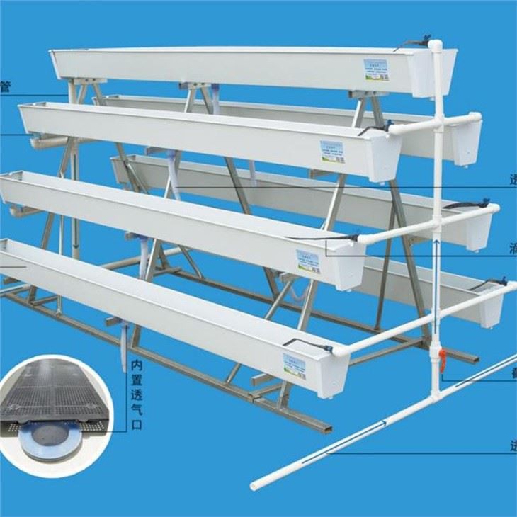 Hydroponic Greenhouse With PVC Planting Trough