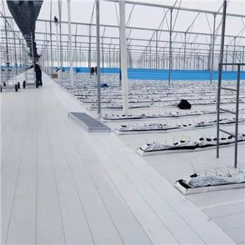 Mata chwastów okrywowa szklarniowa i gwóźdź gruntowy