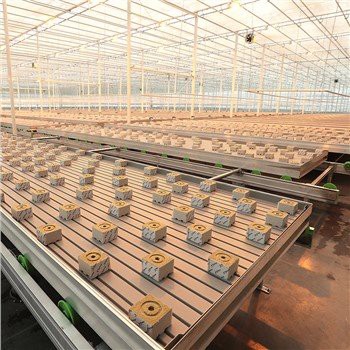 Greenhouse Rockwool