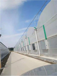 Szklarnia z systemem chłodzenia