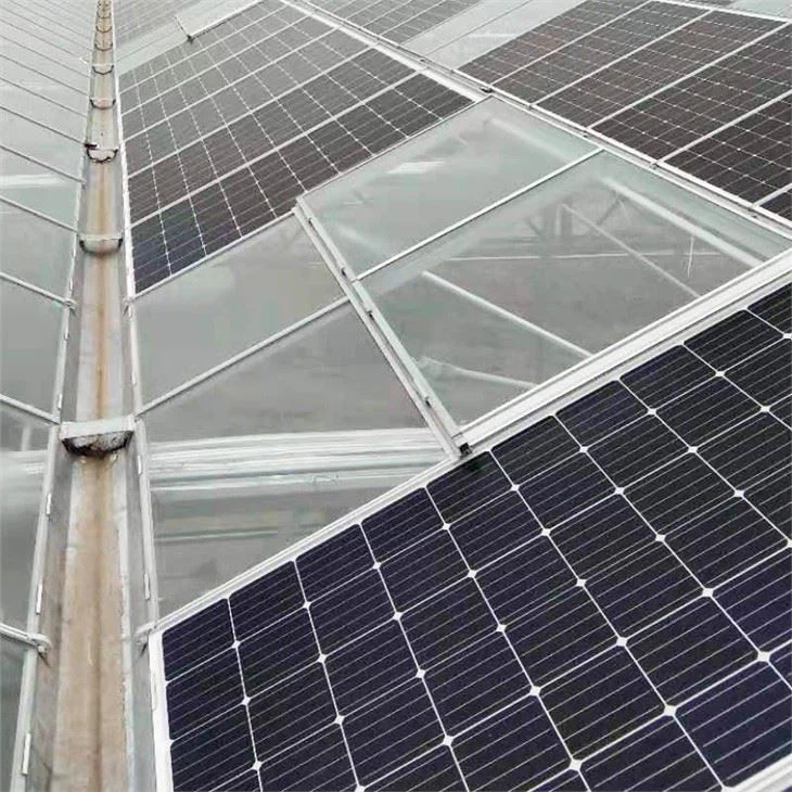 Solar Panel Greenhouse