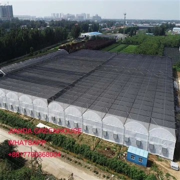 multi span film greenhouse from China
