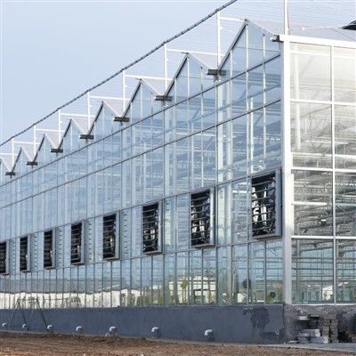 Szklarnia Venlo Glass