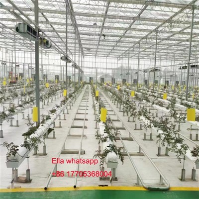 Rynny sadzenia PCV pomidorowego PVC dla systemu hydroponicznego