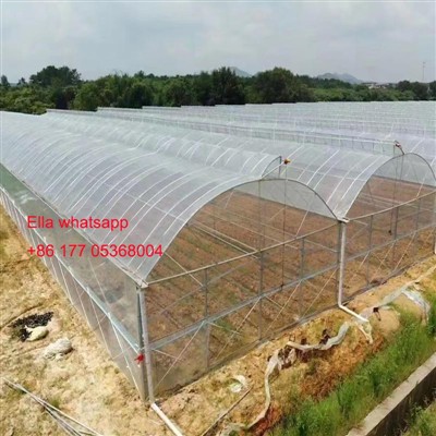 Innowacyjna szklarnia Arch firmy Jianda w Norwegii